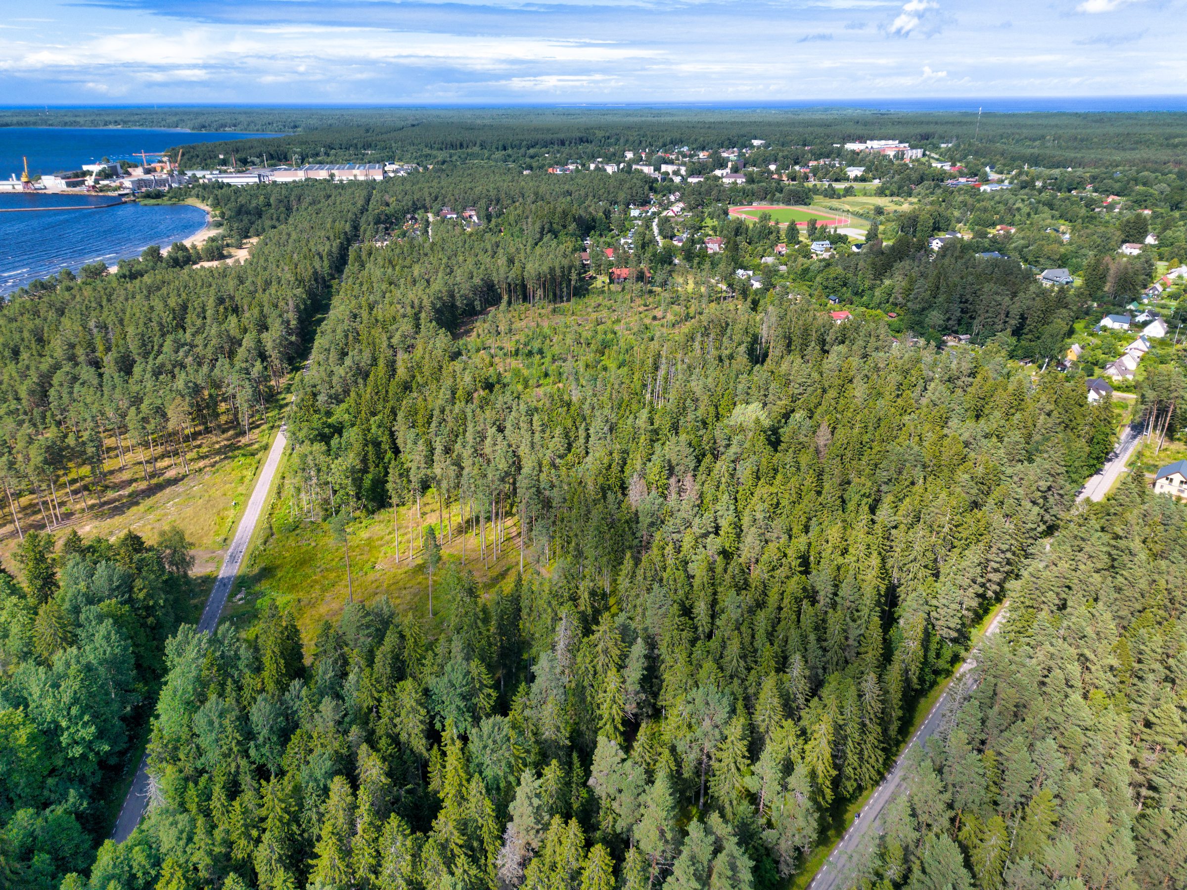 Viva La Loksa kvartal linnulennult — Loksa rand, meri ja männimets
